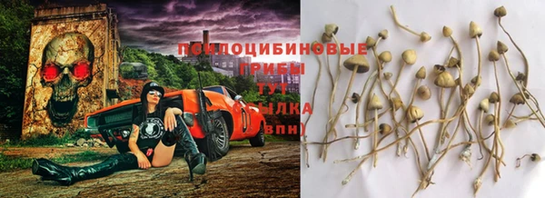 прущие крисы Рославль