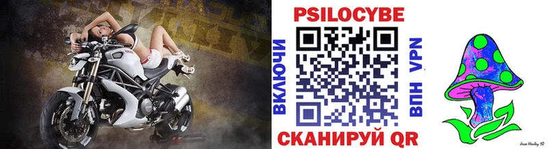 Купить закладки  Севск  Галлюциногенные грибы Psilocybe 